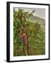 Chianti Grapes Ready for Harvest, Greve, Tuscany, Italy-Richard Duval-Framed Photographic Print