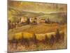 Chianti Land I-Patrick-Mounted Giclee Print