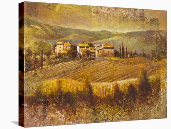 Chianti Land I-Patrick-Stretched Canvas