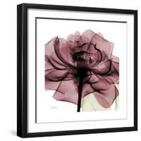 Chianti Rose 2-Albert Koetsier-Framed Premium Giclee Print