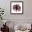 Chianti Rose 2-Albert Koetsier-Framed Premium Giclee Print displayed on a wall