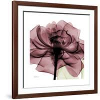 Chianti Rose 2-Albert Koetsier-Framed Premium Giclee Print