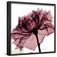 Chianti Rose-Albert Koetsier-Framed Art Print