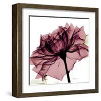 Chianti Rose-Albert Koetsier-Framed Art Print