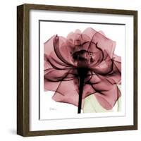 Chianti Rose-Albert Koetsier-Framed Art Print