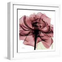 Chianti Rose-Albert Koetsier-Framed Art Print