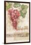 Chianti Sangioveto 2-Maria Trad-Framed Giclee Print