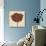 Chianti Tulip-Diane Stimson-Art Print displayed on a wall