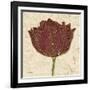 Chianti Tulip-Diane Stimson-Framed Art Print