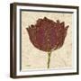 Chianti Tulip-Diane Stimson-Framed Art Print