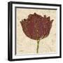 Chianti Tulip-Diane Stimson-Framed Art Print