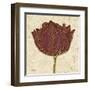 Chianti Tulip-Diane Stimson-Framed Art Print