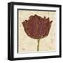 Chianti Tulip-Diane Stimson-Framed Art Print