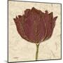 Chianti Tulip-Diane Stimson-Mounted Art Print