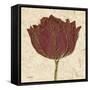 Chianti Tulip-Diane Stimson-Framed Stretched Canvas