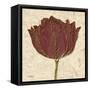 Chianti Tulip-Diane Stimson-Framed Stretched Canvas