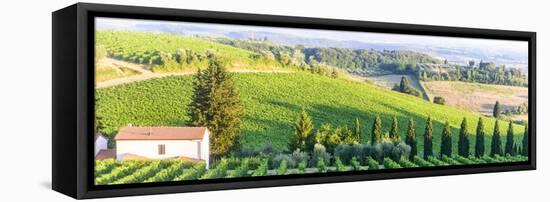 Chianti, Tuscany-Claudiogiovanni-Framed Stretched Canvas