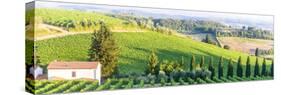 Chianti, Tuscany-Claudiogiovanni-Stretched Canvas