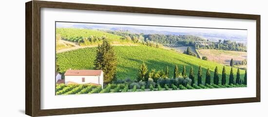 Chianti, Tuscany-Claudiogiovanni-Framed Photographic Print