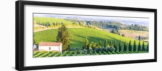 Chianti, Tuscany-Claudiogiovanni-Framed Photographic Print