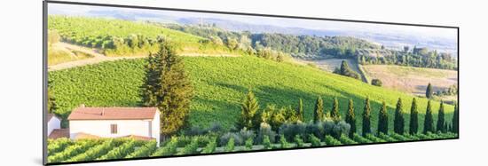 Chianti, Tuscany-Claudiogiovanni-Mounted Photographic Print