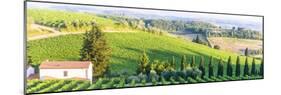 Chianti, Tuscany-Claudiogiovanni-Mounted Photographic Print