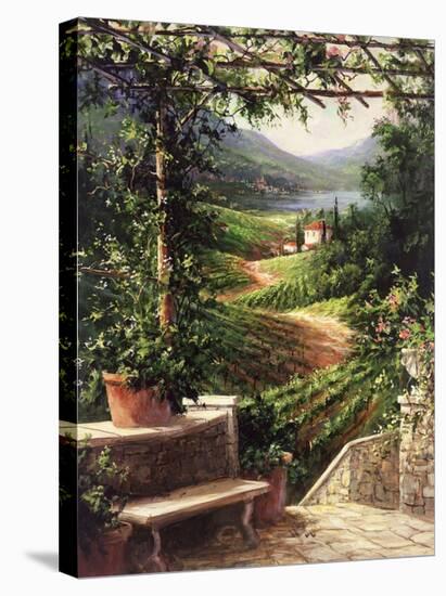 Chianti Vineyard-Art Fronckowiak-Stretched Canvas