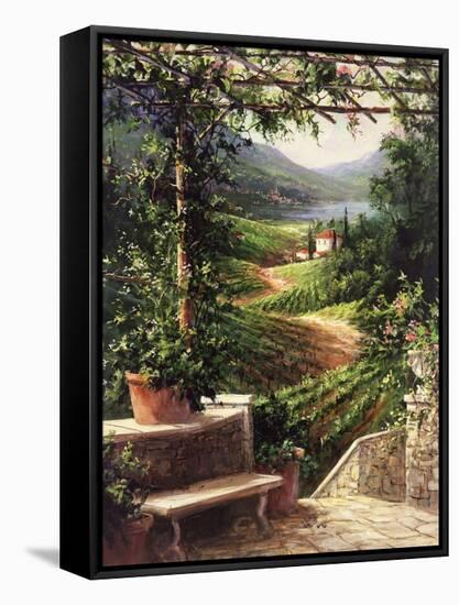 Chianti Vineyard-Art Fronckowiak-Framed Stretched Canvas