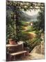 Chianti Vineyard-Art Fronckowiak-Mounted Art Print