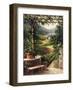 Chianti Vineyard-Art Fronckowiak-Framed Art Print