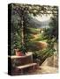 Chianti Vineyard-Art Fronckowiak-Stretched Canvas