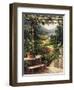 Chianti Vineyard-Art Fronckowiak-Framed Art Print