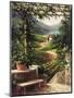 Chianti Vineyard-Art Fronckowiak-Mounted Premium Giclee Print