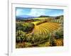 Chianti Vineyards-Michael Swanson-Framed Art Print