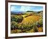 Chianti Vineyards-Michael Swanson-Framed Art Print