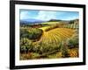 Chianti Vineyards-Michael Swanson-Framed Art Print