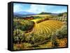 Chianti Vineyards-Michael Swanson-Framed Stretched Canvas