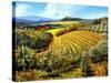 Chianti Vineyards-Michael Swanson-Stretched Canvas