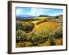 Chianti Vineyards-Michael Swanson-Framed Art Print