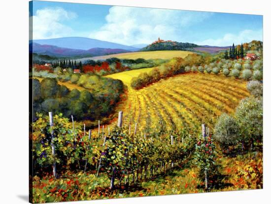 Chianti Vineyards-Michael Swanson-Stretched Canvas