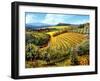 Chianti Vineyards-Michael Swanson-Framed Art Print