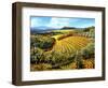 Chianti Vineyards-Michael Swanson-Framed Art Print