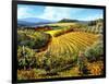 Chianti Vineyards-Michael Swanson-Framed Art Print