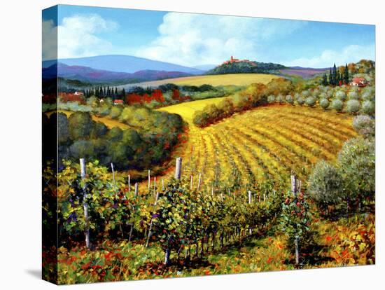 Chianti Vineyards-Michael Swanson-Stretched Canvas