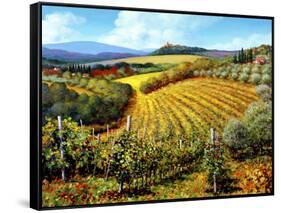 Chianti Vineyards-Michael Swanson-Framed Stretched Canvas