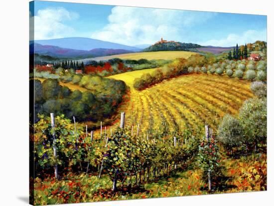 Chianti Vineyards-Michael Swanson-Stretched Canvas