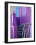 Chiappini Street, St. Cape, Bo-Kaap, Cape Town, South Africa-Walter Bibikow-Framed Photographic Print