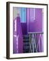 Chiappini Street, St. Cape, Bo-Kaap, Cape Town, South Africa-Walter Bibikow-Framed Photographic Print