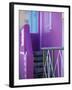 Chiappini Street, St. Cape, Bo-Kaap, Cape Town, South Africa-Walter Bibikow-Framed Photographic Print