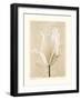 Chiaroscuro I-Amy Melious-Framed Art Print